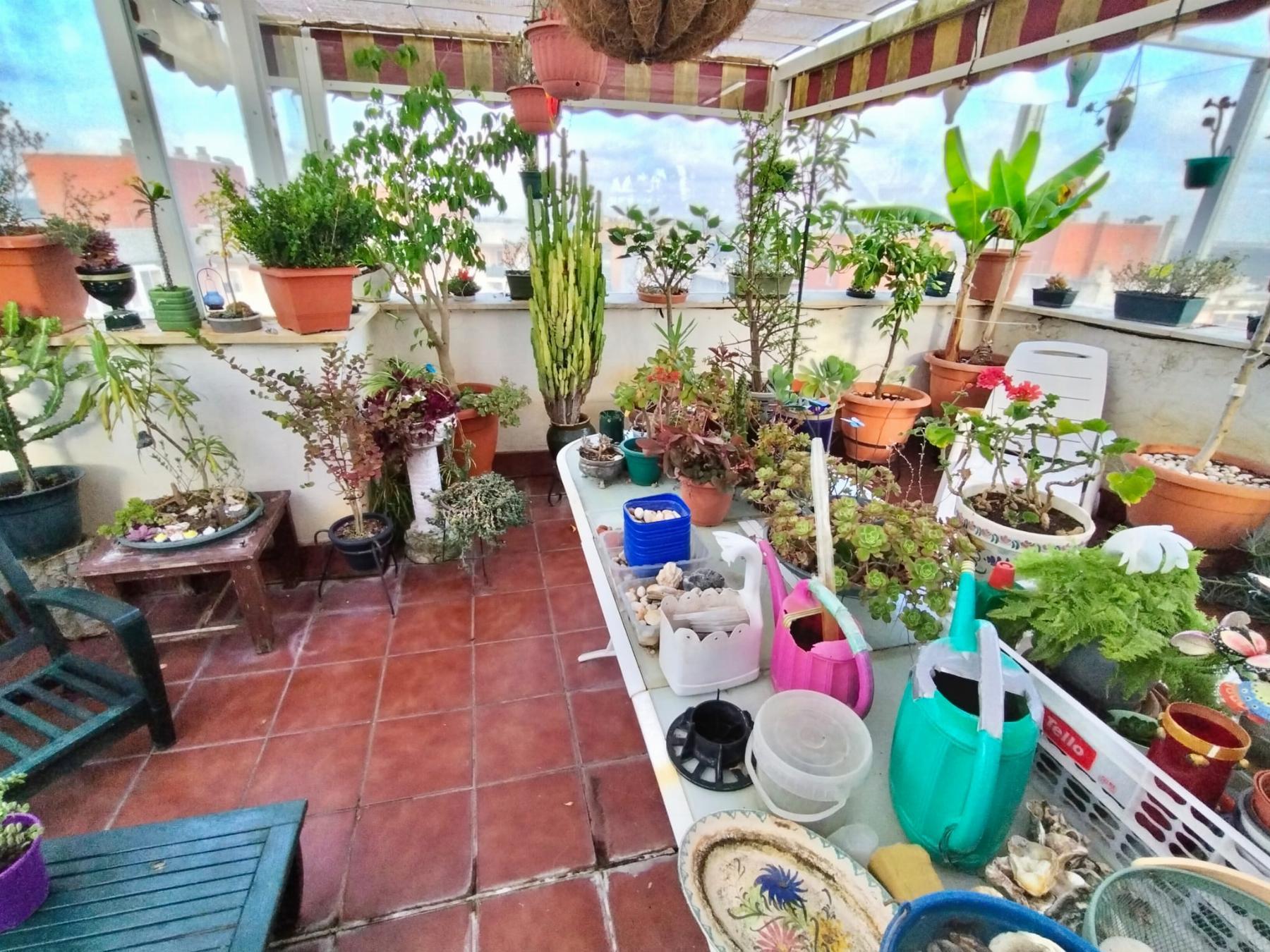 For sale of penthouse in Puerto Real