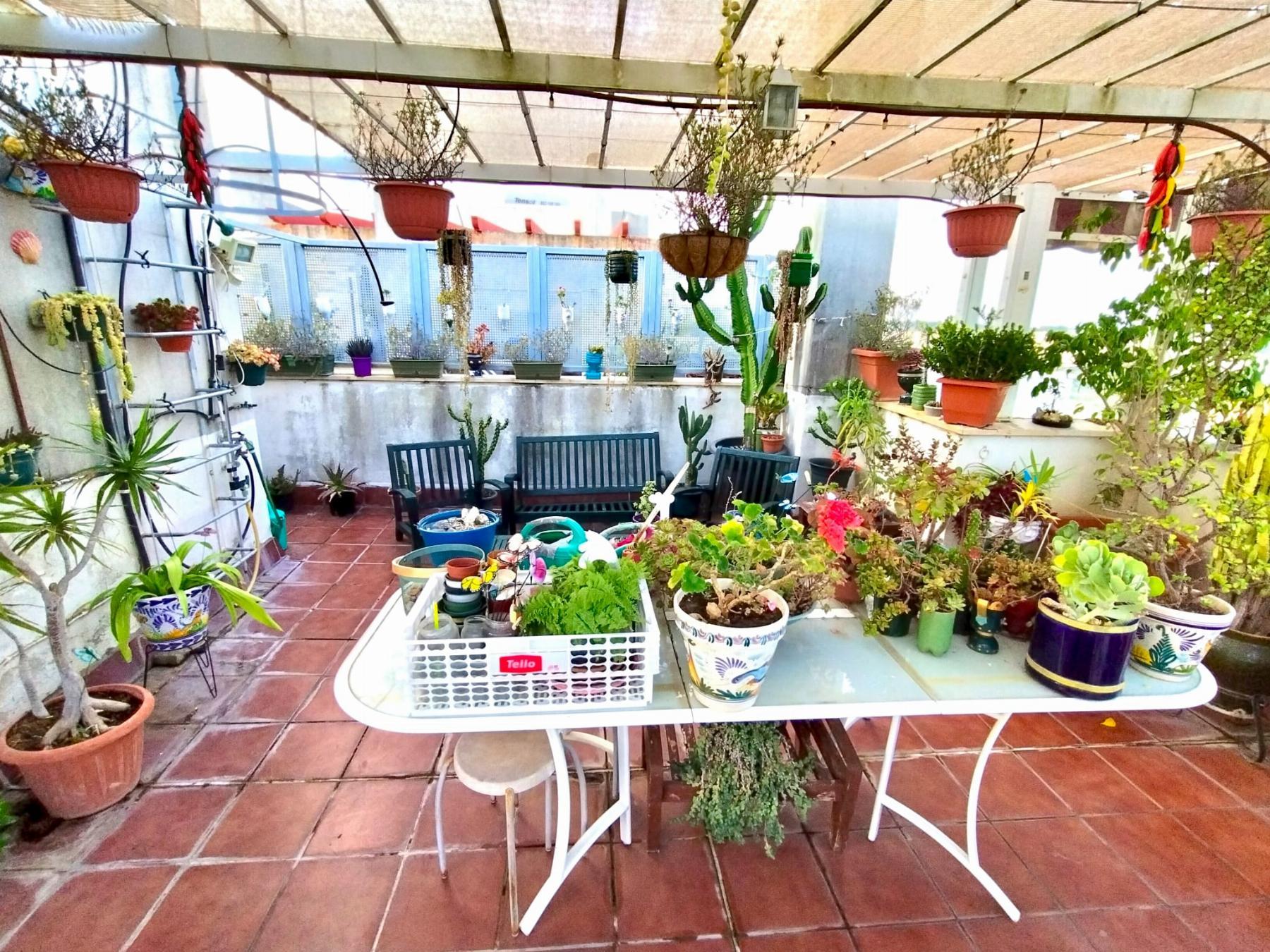 For sale of penthouse in Puerto Real