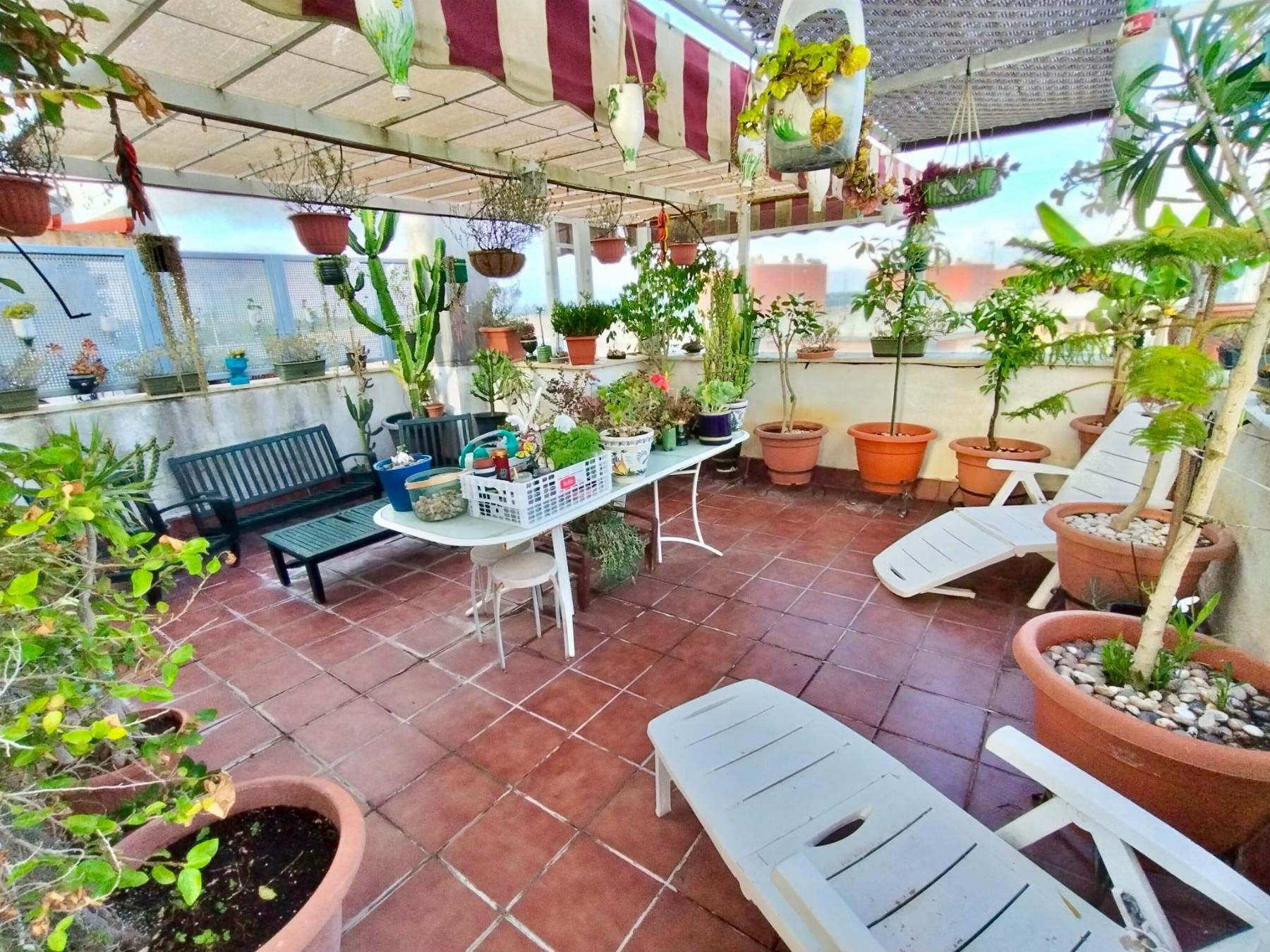 For sale of penthouse in Puerto Real