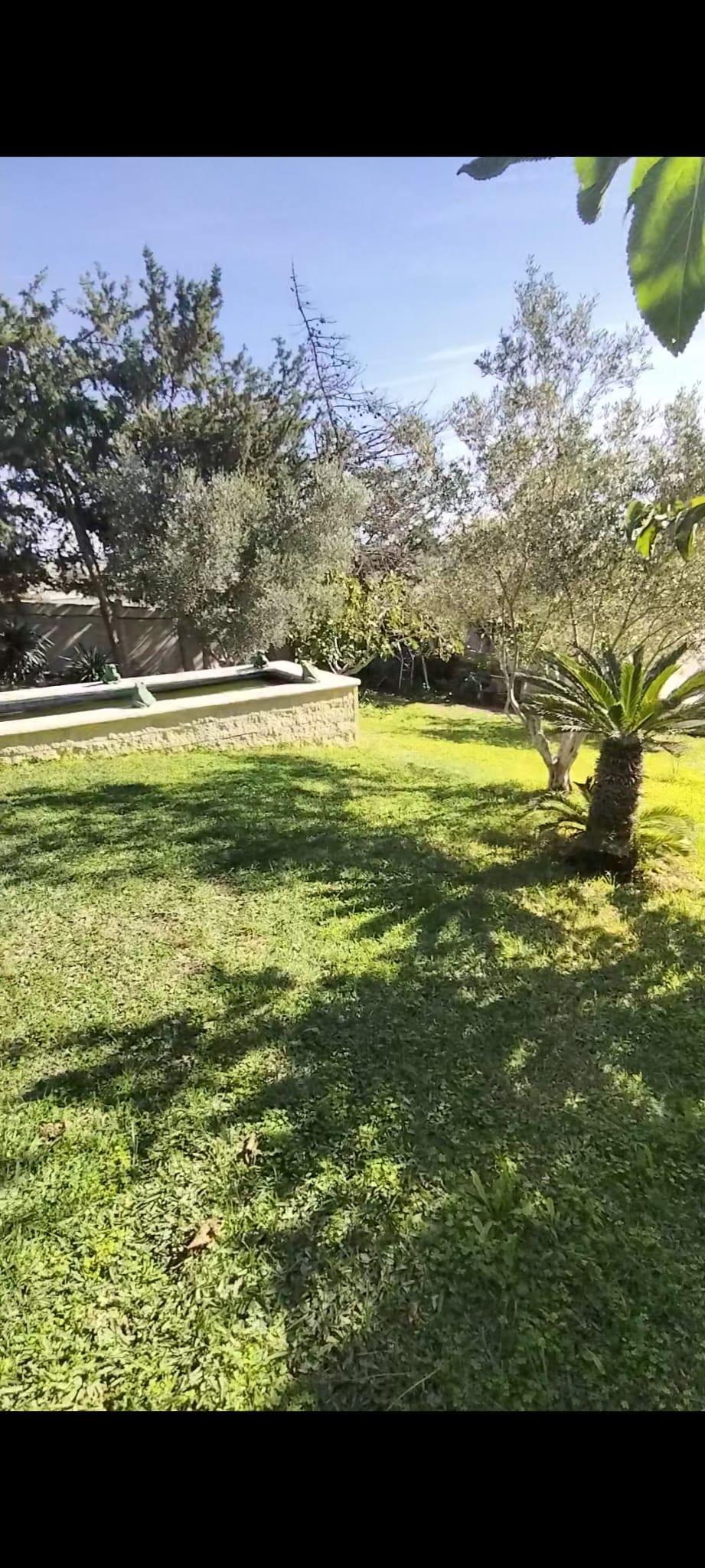 Venta de finca rústica en Chiclana de la Frontera