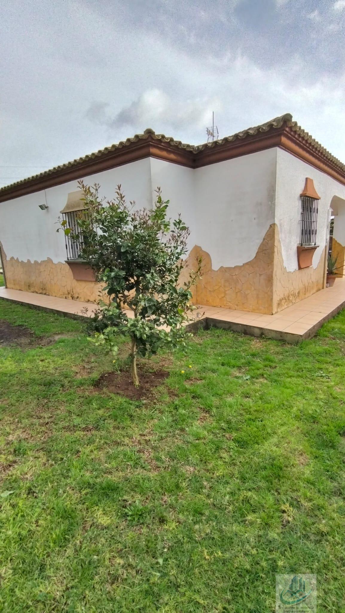 Venta de chalet en Chiclana de la Frontera