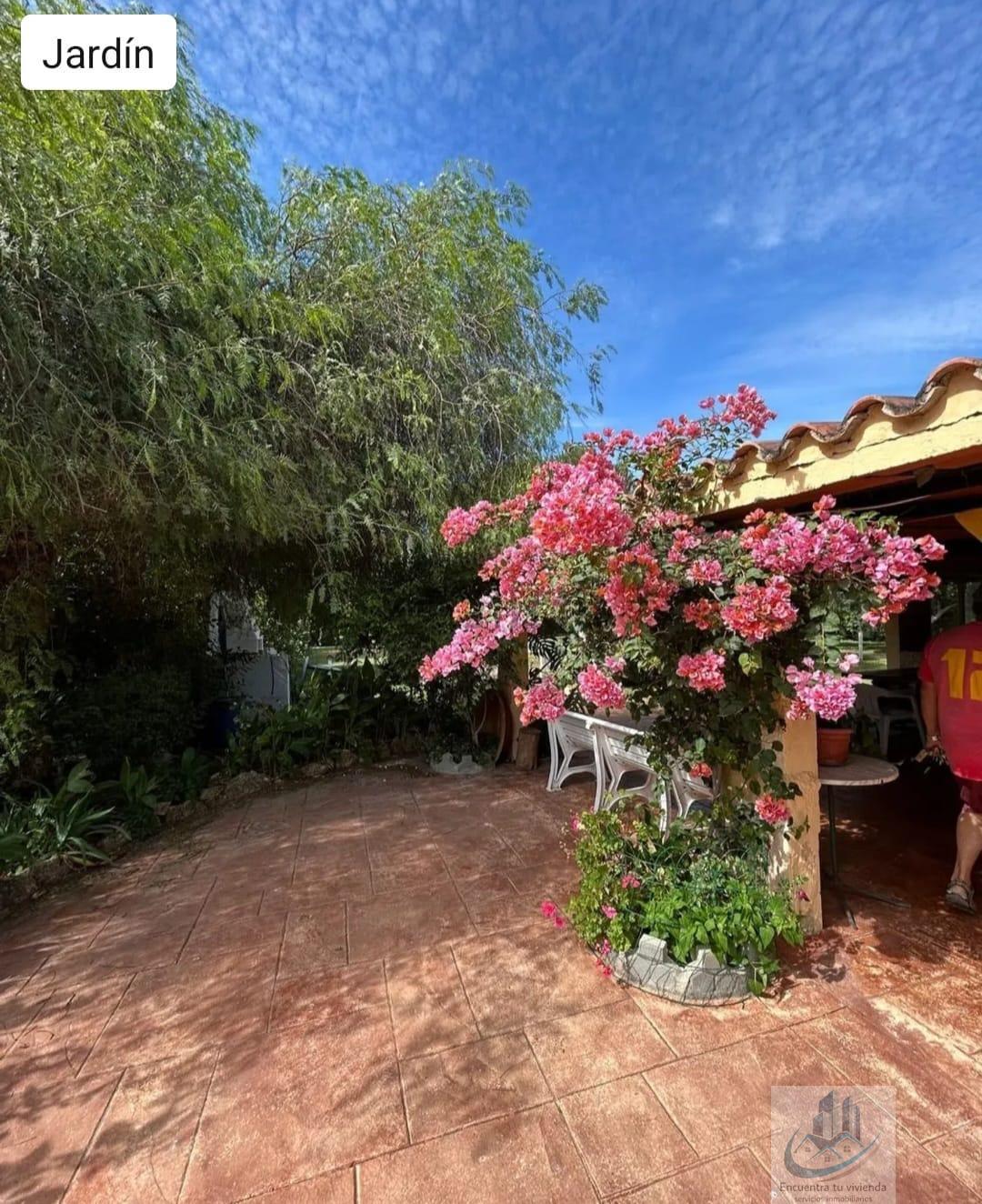 Venta de finca rústica en Puerto Real