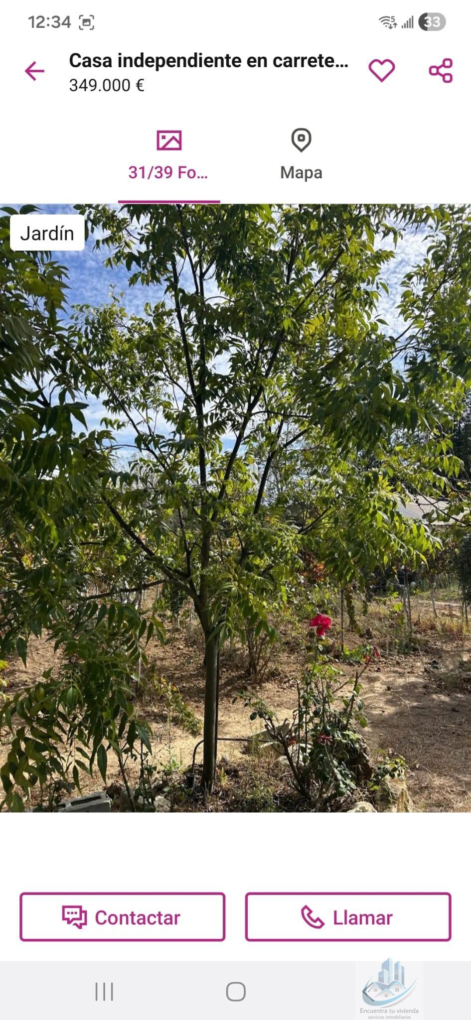 Venta de finca rústica en Puerto Real