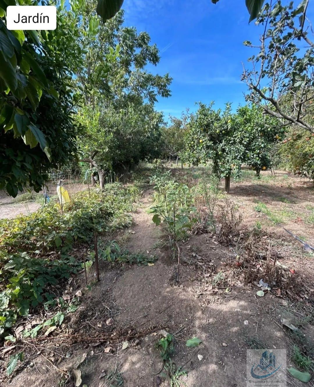 Venta de finca rústica en Puerto Real