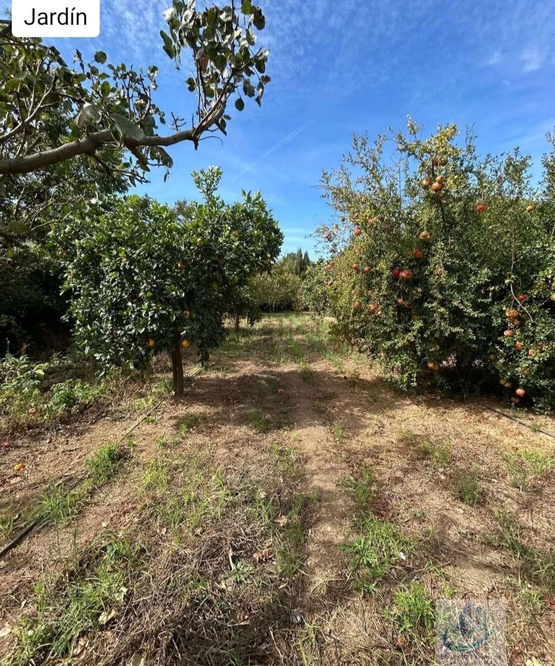 Venta de finca rústica en Puerto Real