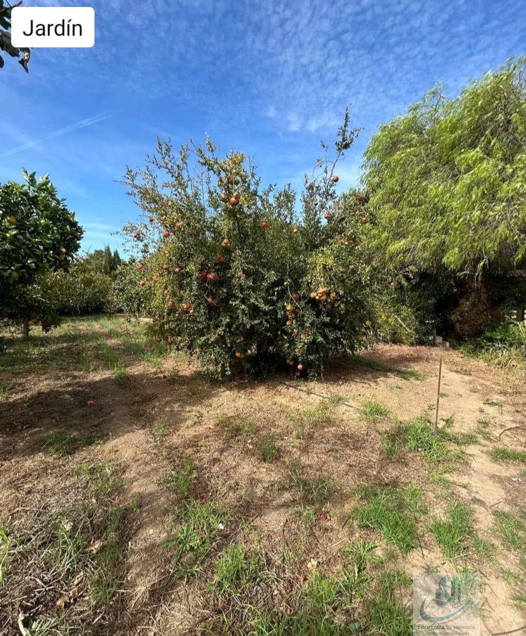 Venta de finca rústica en Puerto Real