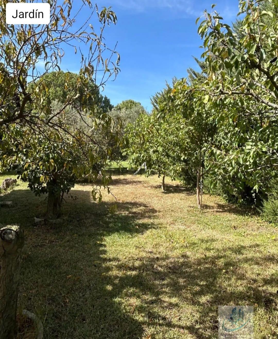 Venta de finca rústica en Puerto Real