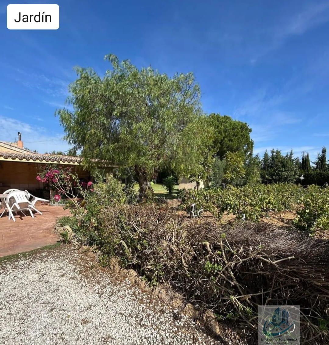 Venta de finca rústica en Puerto Real