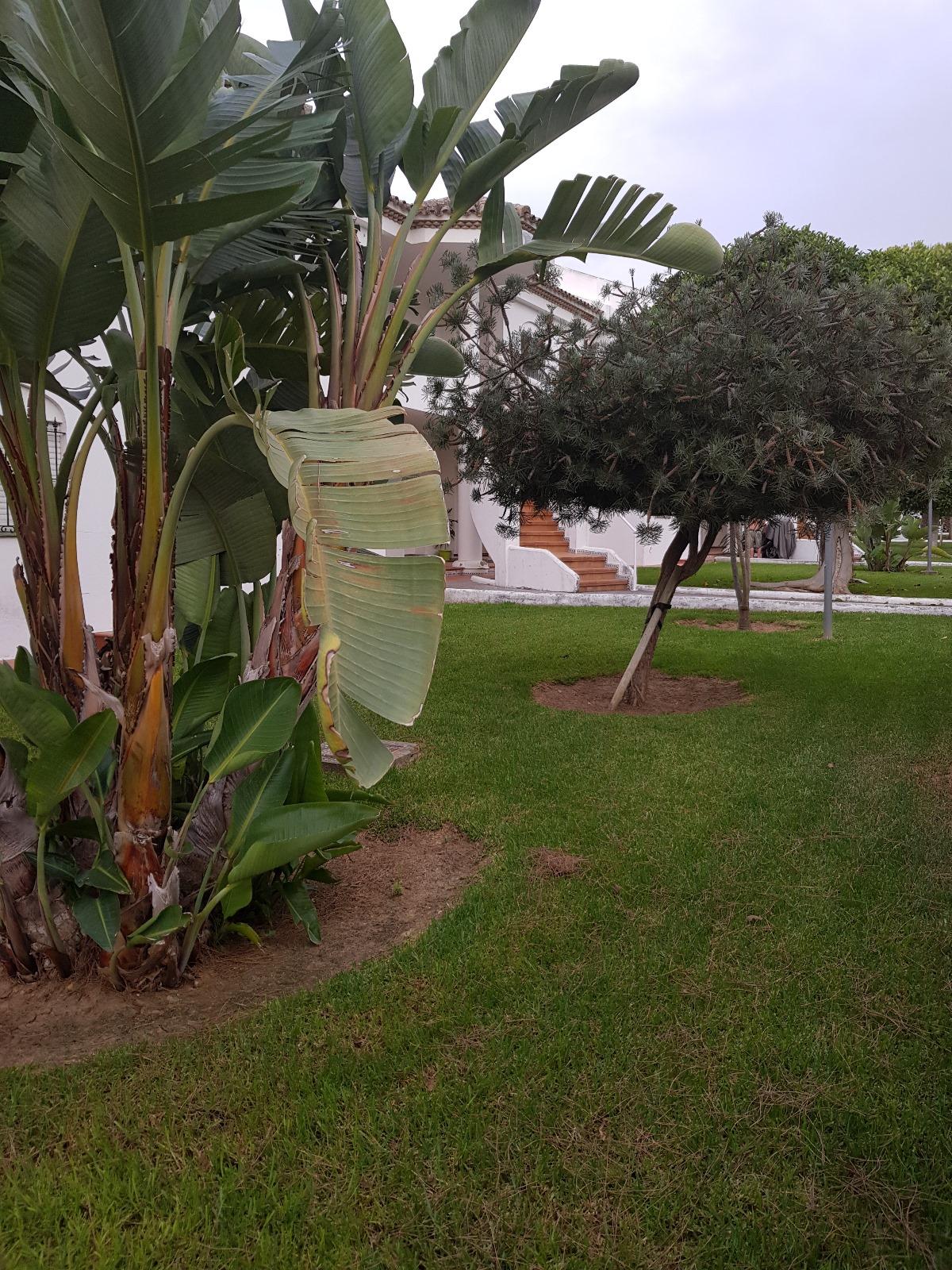Vente de appartement dans Chiclana de la Frontera