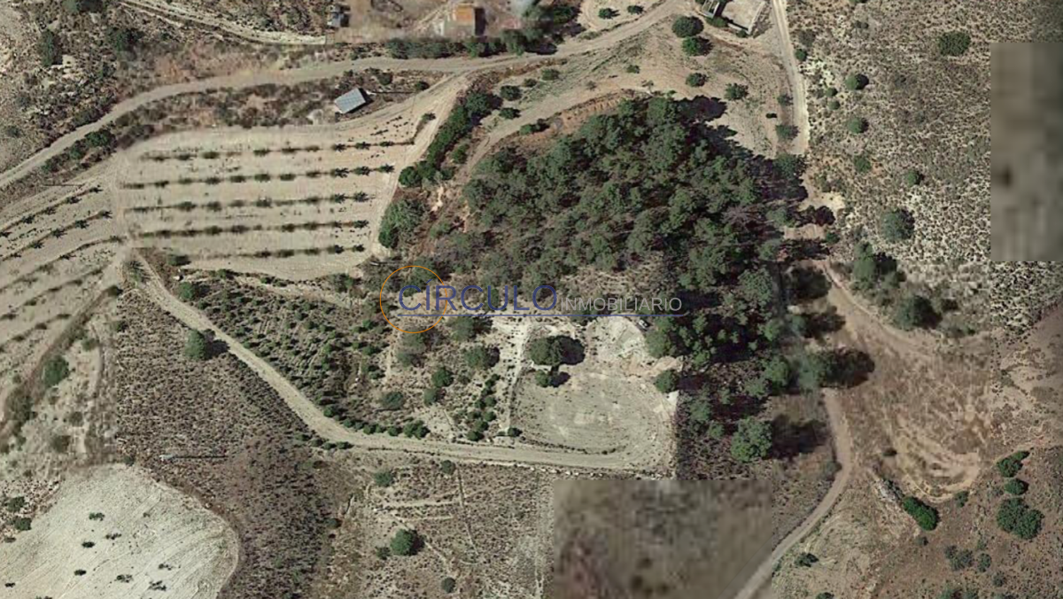 Venta de terreno en Lorca