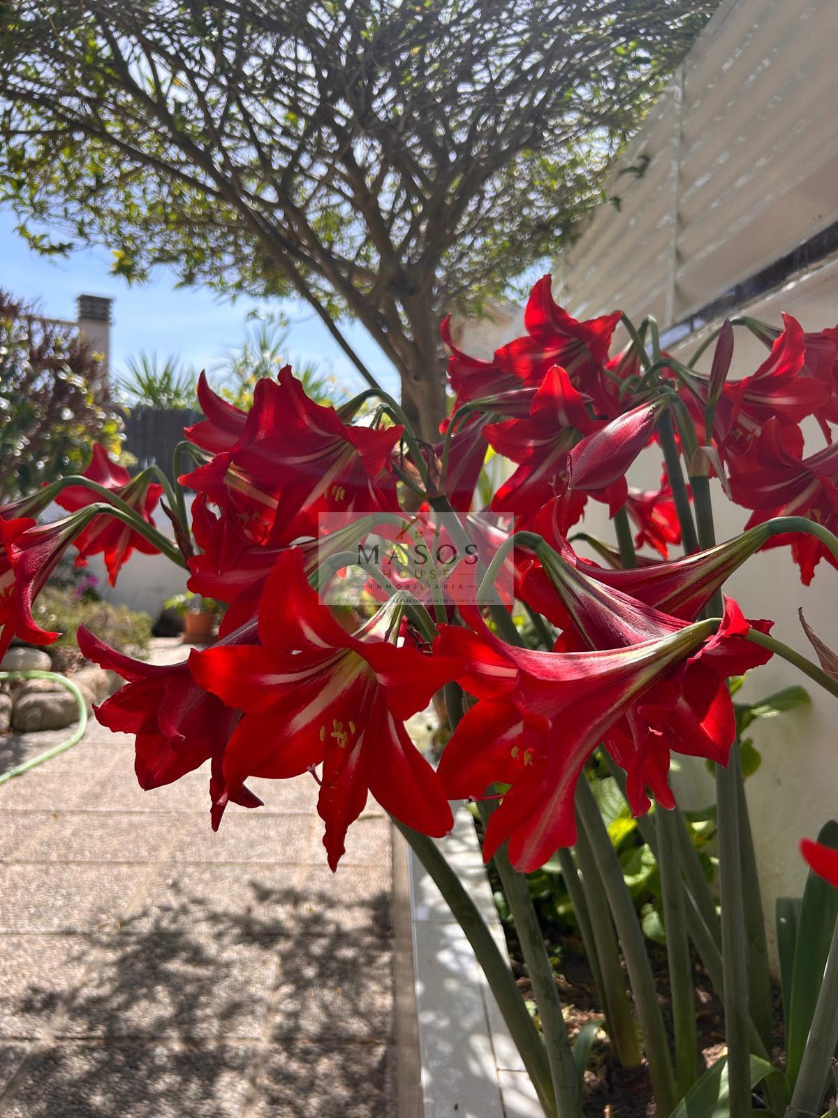 Venta de casa en Segur de Calafell