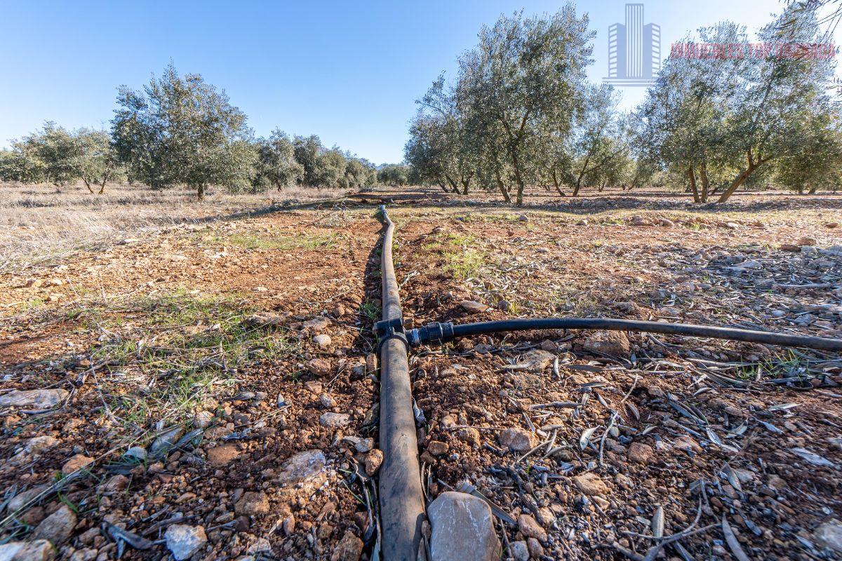 Venta de terreno en Cogollos de la Vega