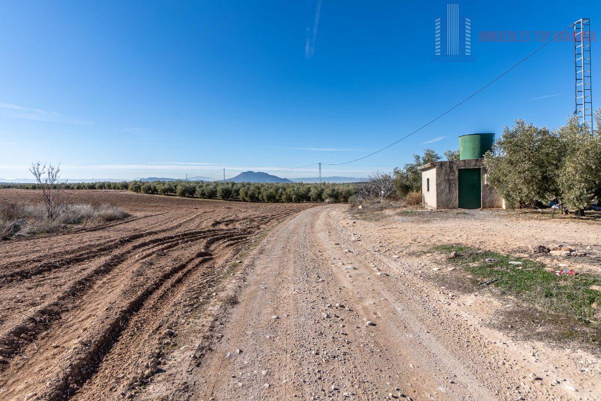 For sale of land in Cogollos de la Vega