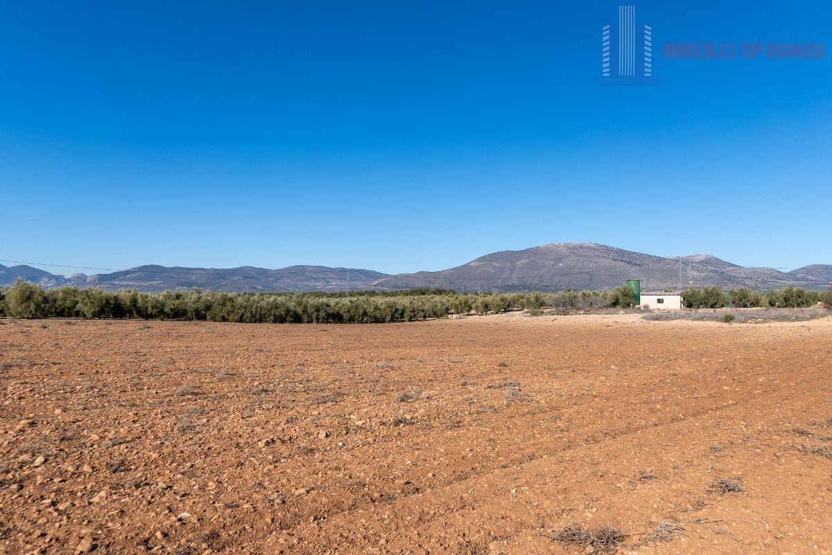 For sale of land in Cogollos de la Vega