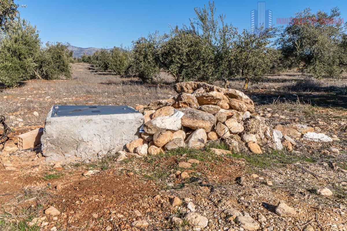 Venta de terreno en Cogollos de la Vega