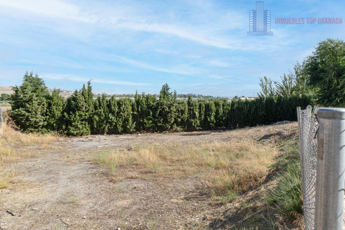 For sale of land in Alhendín