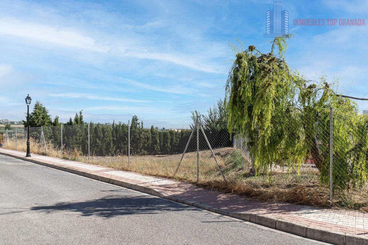 For sale of land in Alhendín