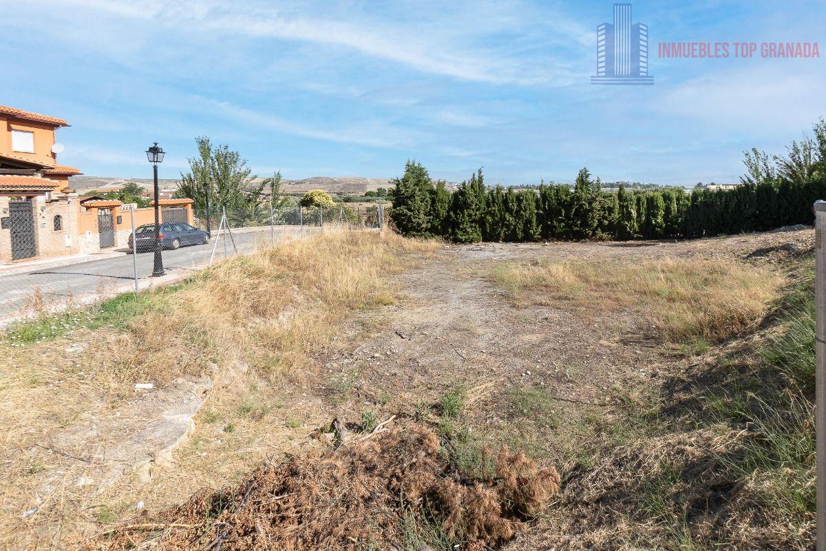 For sale of land in Alhendín