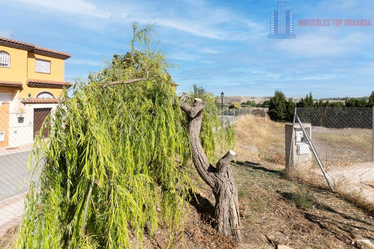 Venta de terreno en Alhendín