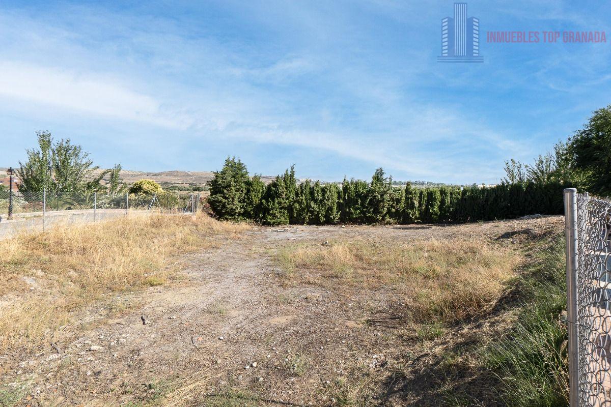 For sale of land in Alhendín