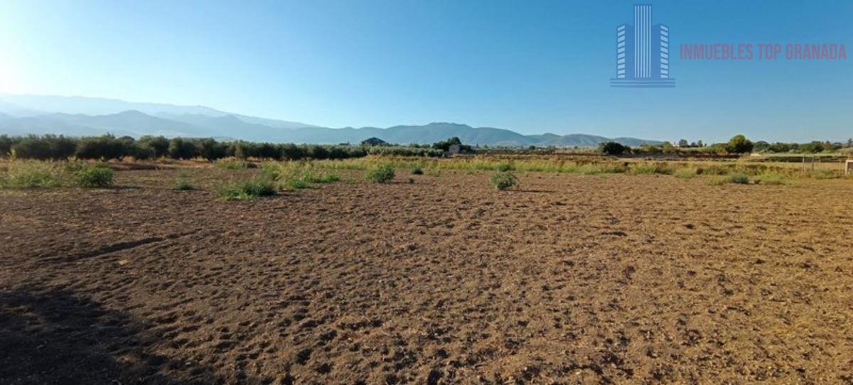 For sale of land in Alhendín