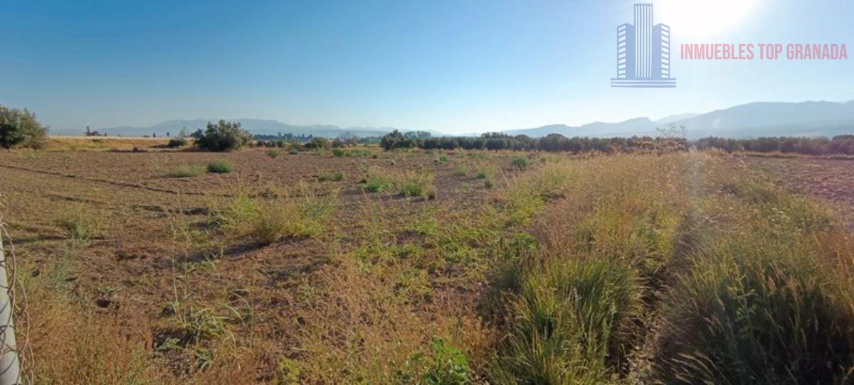 For sale of land in Alhendín