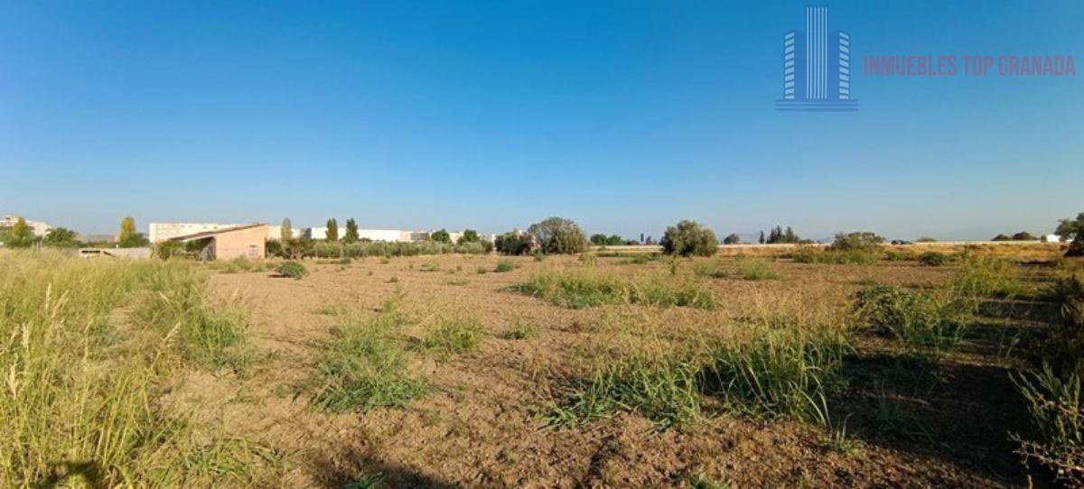 For sale of land in Alhendín