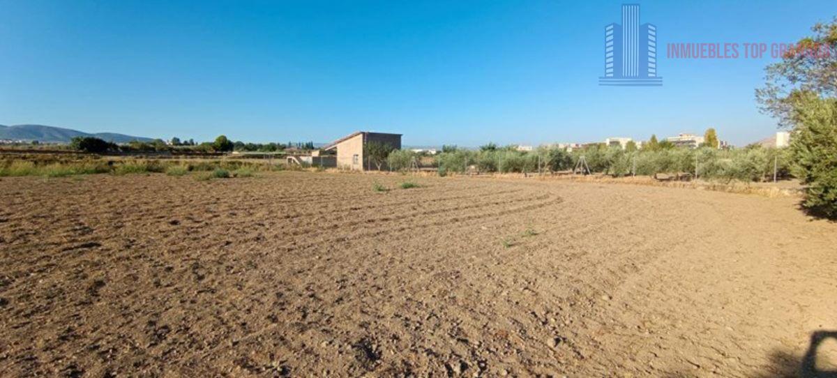 For sale of land in Alhendín