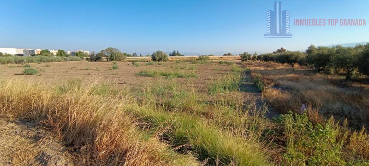 For sale of land in Alhendín