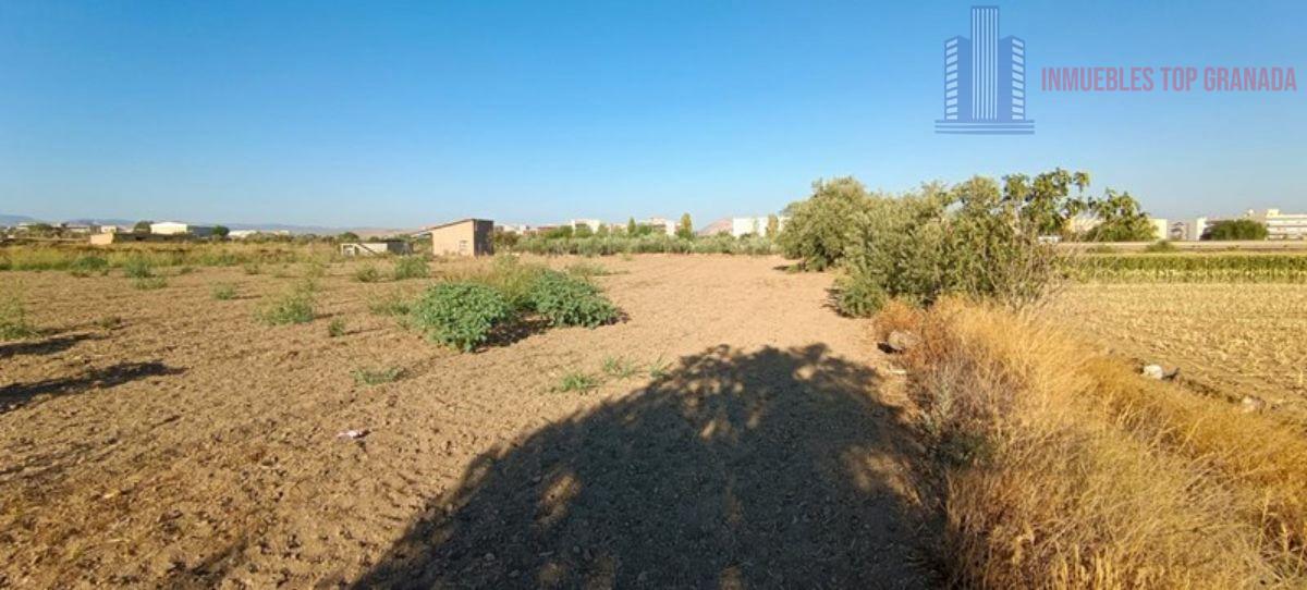 For sale of land in Alhendín