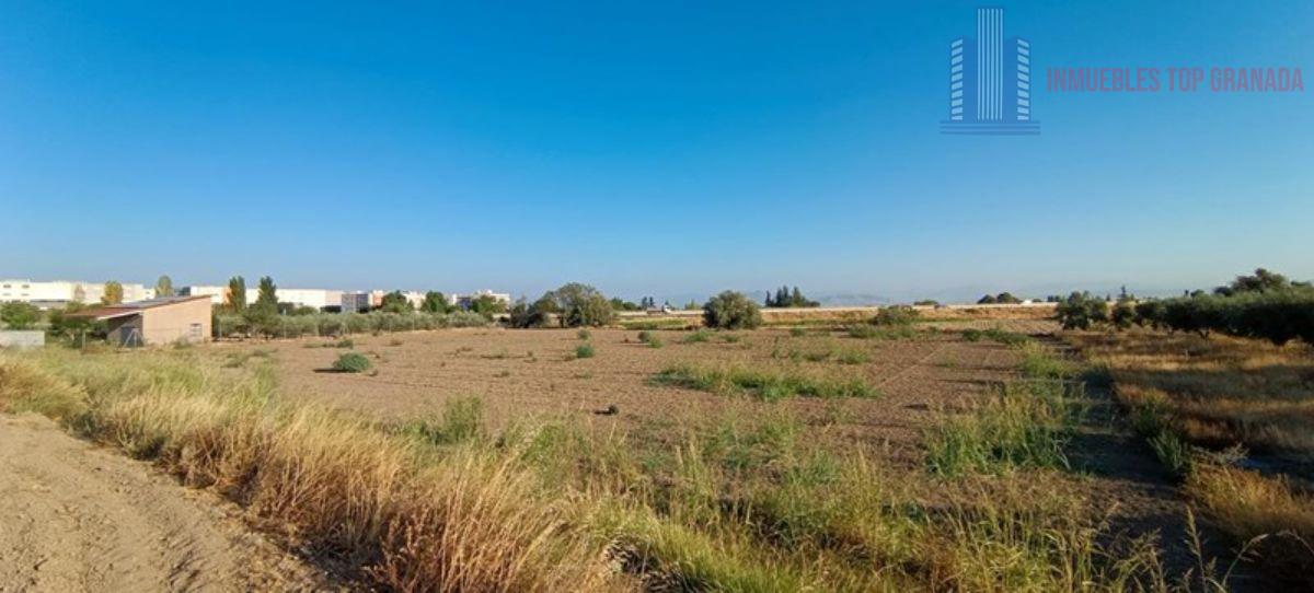 For sale of land in Alhendín