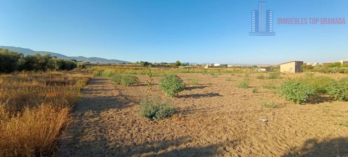 For sale of land in Alhendín