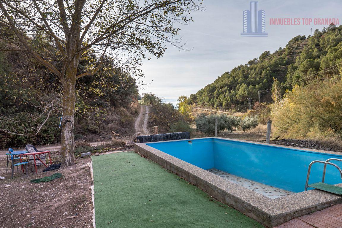 For sale of rural property in Montefrío