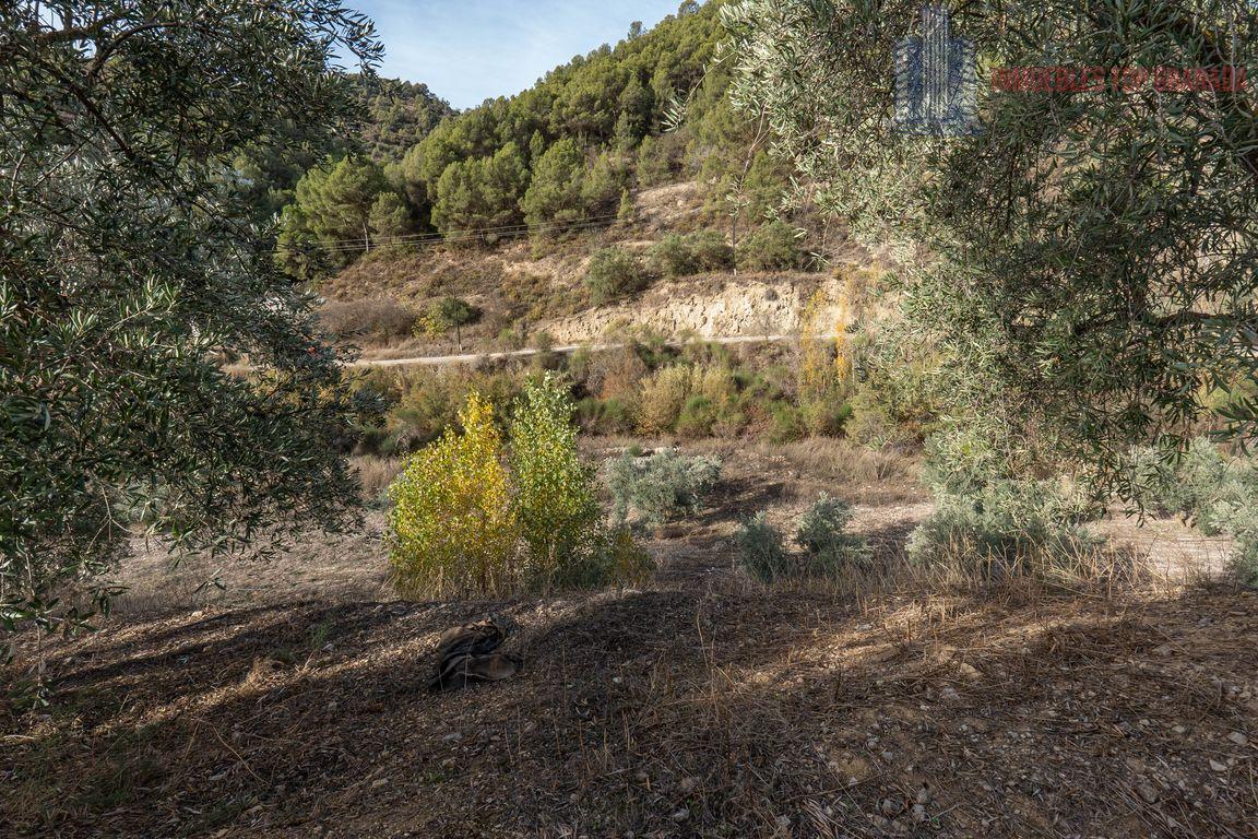 For sale of rural property in Montefrío