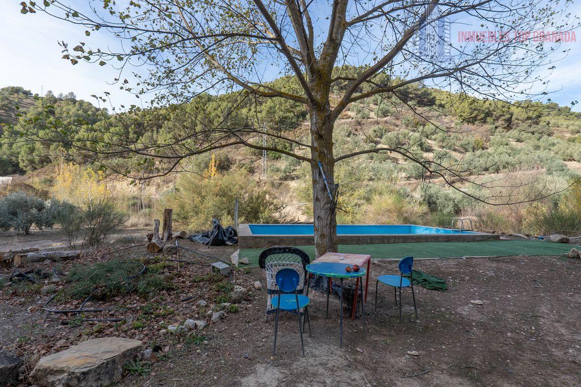 For sale of rural property in Montefrío