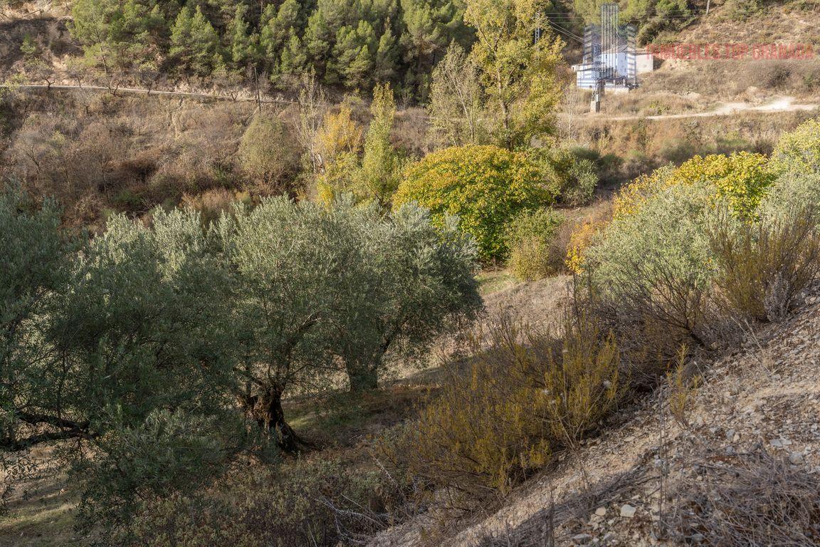 For sale of rural property in Montefrío