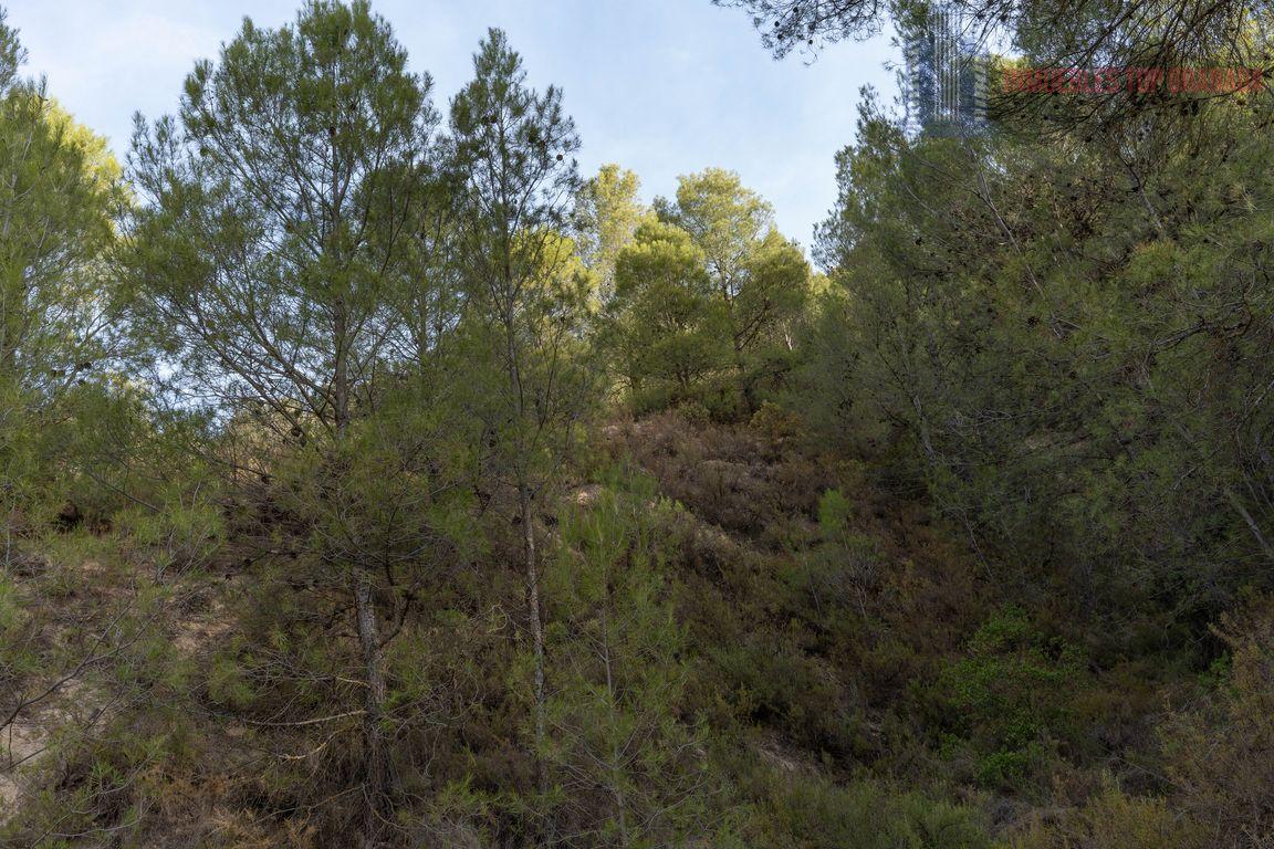 For sale of rural property in Montefrío