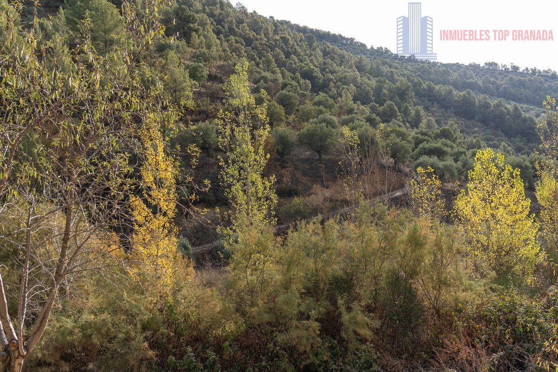 For sale of rural property in Montefrío