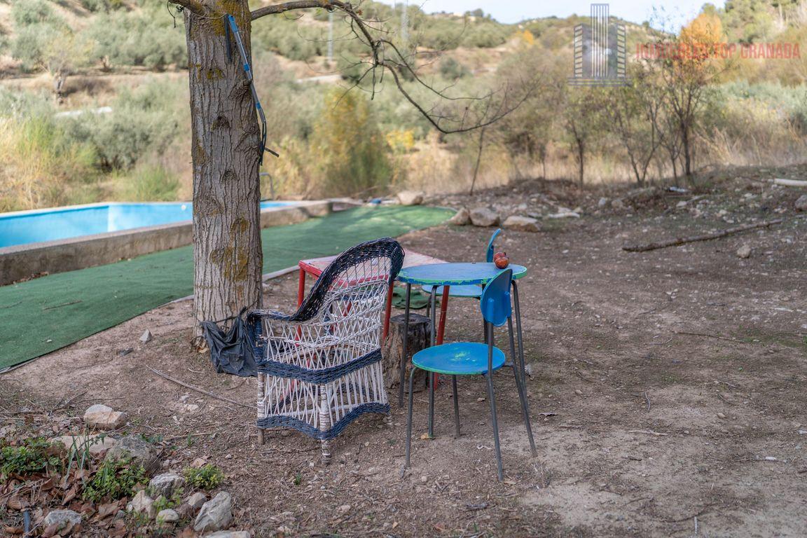 For sale of rural property in Montefrío