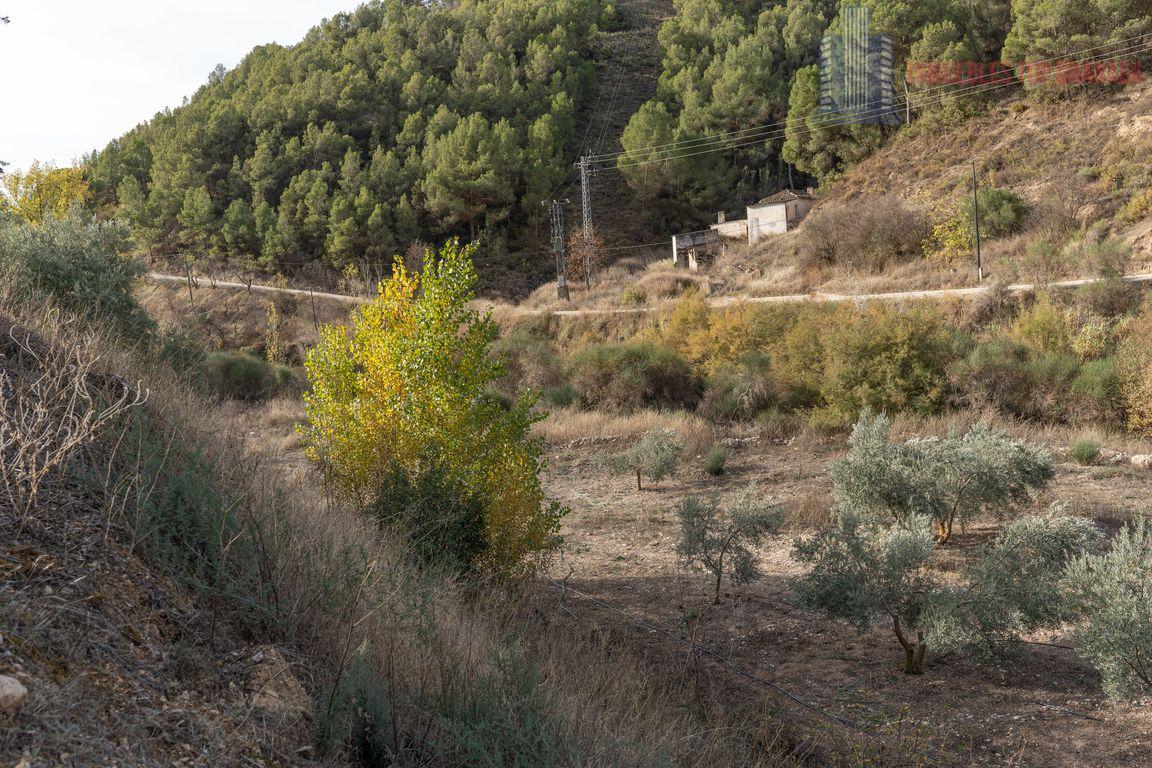 For sale of rural property in Montefrío