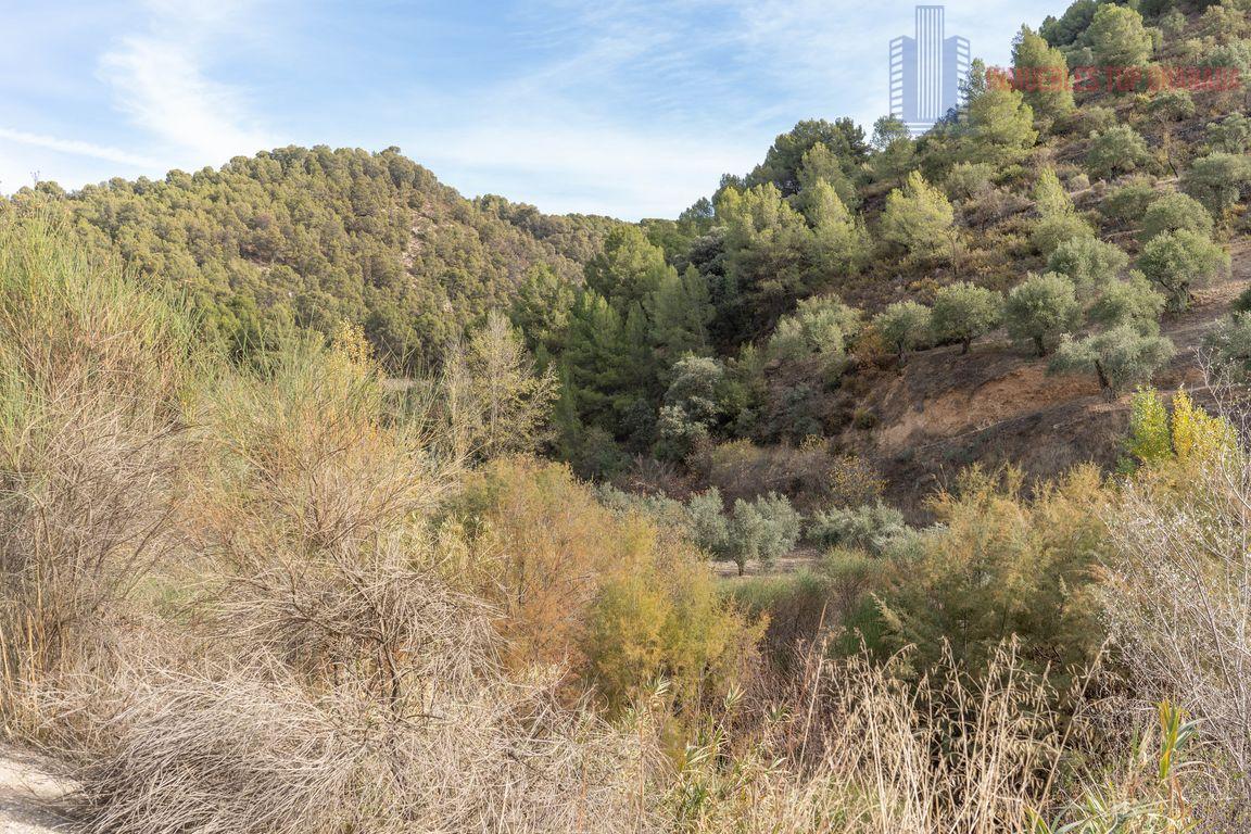 For sale of rural property in Montefrío
