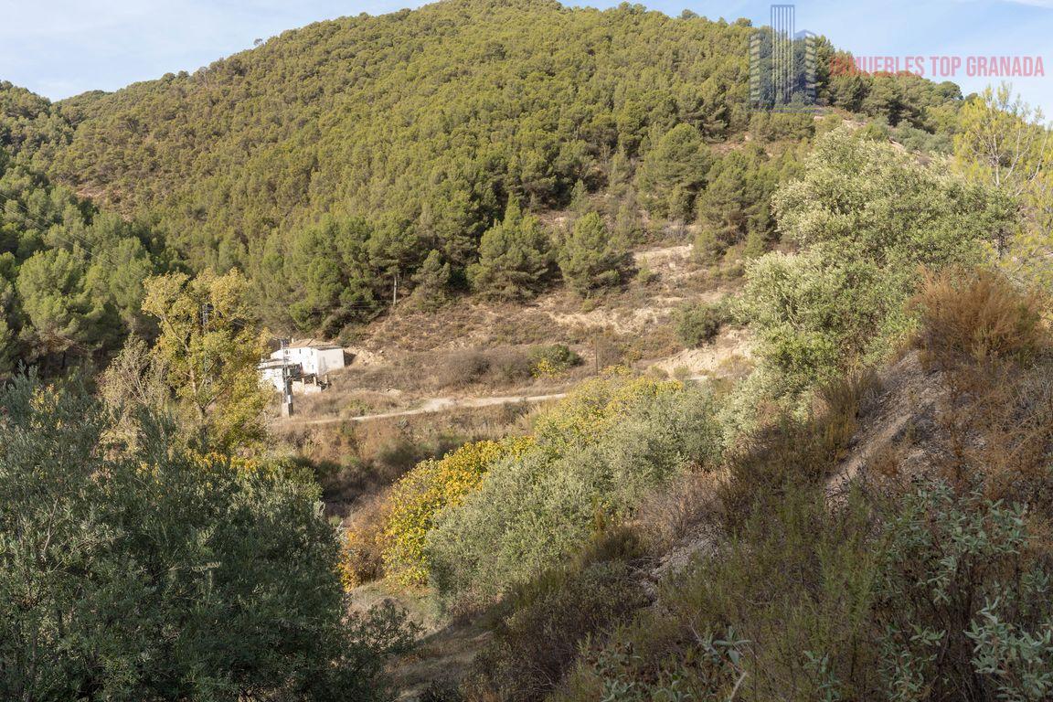 For sale of rural property in Montefrío