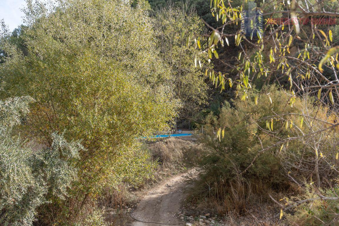 For sale of rural property in Montefrío