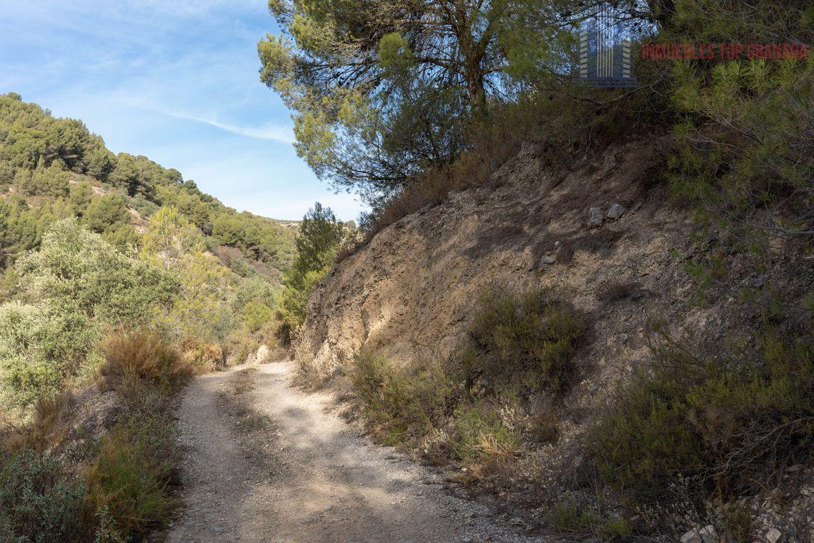 For sale of rural property in Montefrío