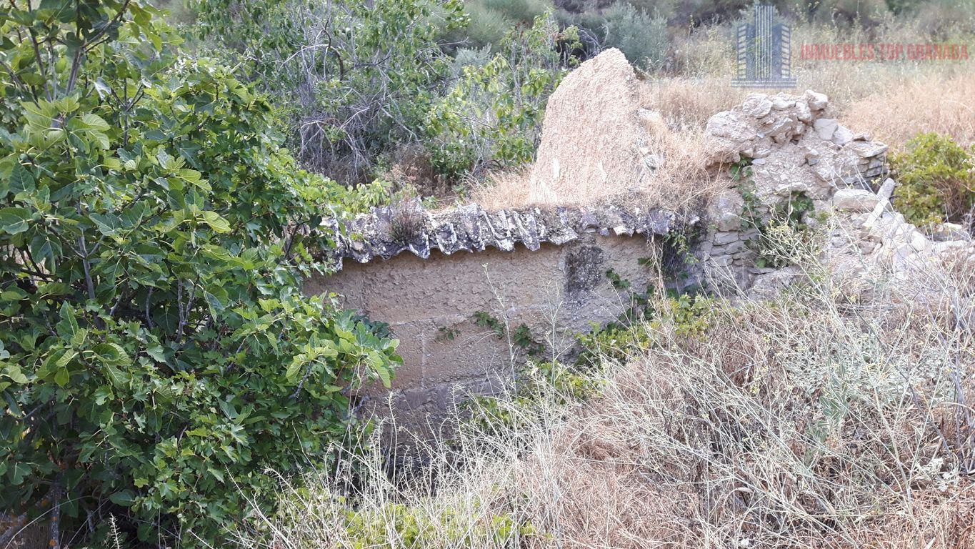 For sale of rural property in Montefrío