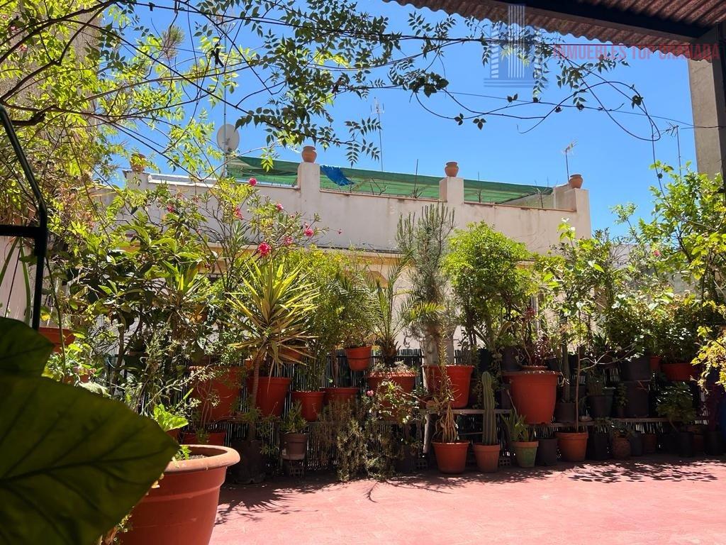 For sale of house in Granada