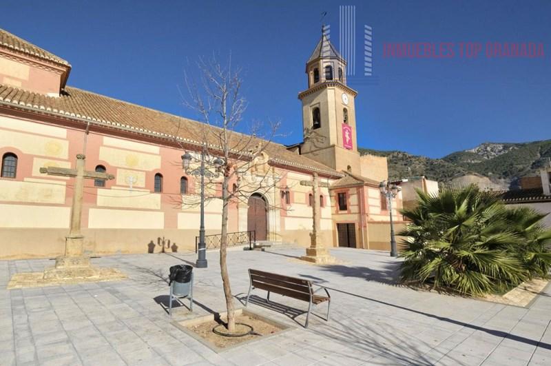 For sale of house in Padul