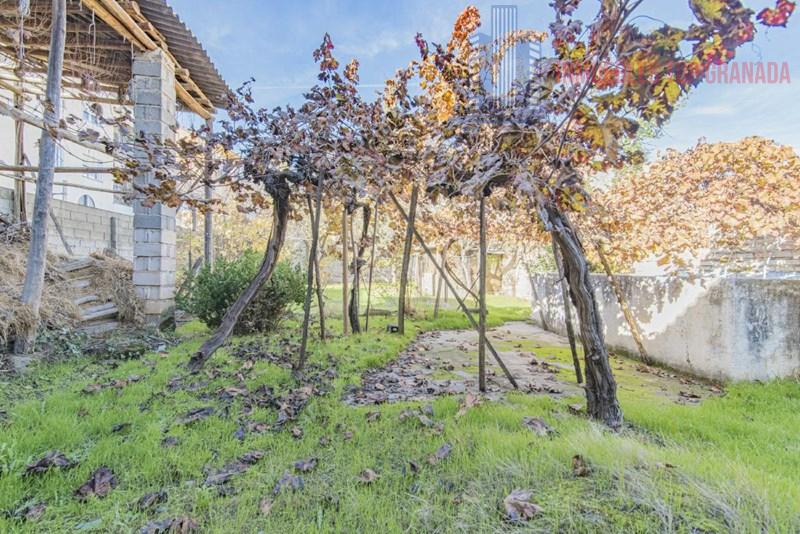 For sale of house in Alhendín