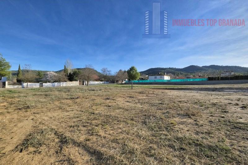 Venta de terreno en Padul