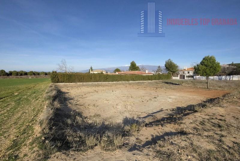 Venta de terreno en Padul